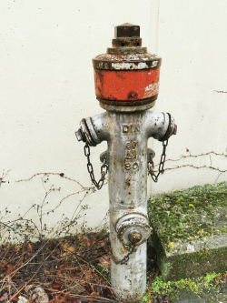 hydrant_web.jpg